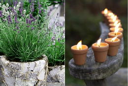 Anti Muggen - Tuin Tips Tegen Muggen met Lavendel Planten en Citronella Kaarsen LEES MEER (Foto op DroomHome.nl)