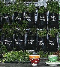 Verticaal Tuinieren & Eigen Kruiden Kweken Volgens Tuin & Co op de Woonbeurs (DroomHome.nl) Verticaal Tuinieren & Eigen Kruiden Kweken Volgens Tuin & Co op de Woonbeurs (DroomHome.nl)