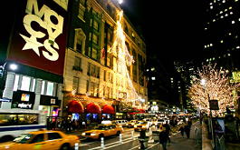 Kerst 2010 - Kerstshoppen in de Beste Winkels van Parijs, Londen, New York, Berlijn, Madrid & Milaan met de mooiste kerst etalages LEES MEER... (DroomHome.nl)