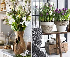Natuurlijke decoratiematerialen als exotische zaden, fruit als kokosnoten & Trendy Bol Bloemen op Natuurlijke materialen Vazen en Potten als Decoratie in de landelijk Wonen Interieurstijl (Foto IBC op DroomHome.nl)