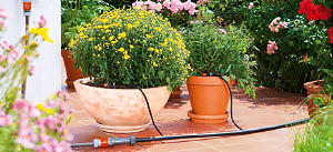 Plantenbakken Water Geven en Sproeisysteem van Gardena LEES MEER... (Foto Gardena Tuingereedschap op DroomHome.nl)