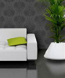 Kerstboom Weg Uit Huis - Planten Trends 2011, Grote Planten Sieren een Modern Interieur, Slaapkamer & Badkamer Planten LEES MEER... Kerstboom Weg Uit Huis - Planten Trends 2011, Grote Planten Sieren een Modern Interieur, Slaapkamer & Badkamer Planten LEES MEER...