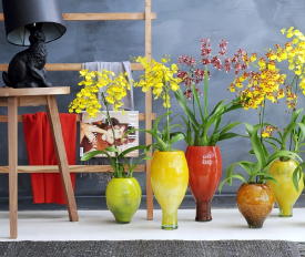 Natuurlijke Decoratie in het Interieur met Bloemen, Planten, Fruit & andere Exoten LEES MEER.. (Foto Oncidium Tijgerorchidee Bloemenbureau Holland  op DroomHome.nl