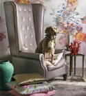 Zomer Woontrend 2010 STIJL Lees Meer...(foto Perscentrum Wonen op DroomHome.nl) Zomer Woontrend 2010 STIJL Lees Meer...(foto Perscentrum Wonen op DroomHome.nl)