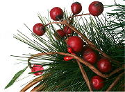 Kerst Creatief Kerstkrans &  Guirlande Zelf Kerst Knutselen met Rode Bessen Decoratie DroomHome.nl