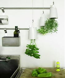 Groene Trend: Zelf Keuken Kruiden Kweken in Potten & Bakken - Binnen & Buiten in de Keuken, Balkon & Terras met Verticaal Tuinieren verse Kruiden in de Gerechten LEES MEER... Groene Trend: Zelf Keuken Kruiden Kweken in Potten & Bakken - Binnen & Buiten in de Keuken, Balkon & Terras met Verticaal Tuinieren verse Kruiden in de Gerechten LEES MEER...