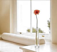 Thuisstudie Opleiding Interieurstylist & Colorist LEES MEER.. Thuisstudie Opleiding Interieurstylist & Colorist LEES MEER..