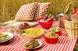 Picknick Trends - Plan de Perfecte Picknick LEES MEER... (Foto op DroomHome.nl) Picknick Trends - Plan de Perfecte Picknick LEES MEER... (Foto op DroomHome.nl)