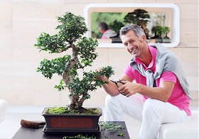 Kamerplant van de Maand Maart 2012: de Bonsai Boom met Bonsai Plantenverzorging Tips (Foto BBH  op DroomHome.nl)