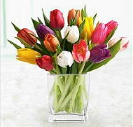 Populairste Bloemen Kleuren van Nederland (Foto Gemengde Tulpen in Glazen Vaas  op DroomHome.nl)