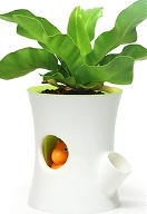 Super Gadget: Qualy Zelfwaterende Bloempot Eekhoorn LEES MEER... Super Gadget: Qualy Zelfwaterende Bloempot Eekhoorn LEES MEER...