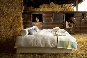 Slaapkamer Trends 2010, Alles over Hippe Dekbedden &  Dekbedovertrekken, Natuurlijke Matrassen, Sfeer Slaapkamerverlichting, Slaapkamer Winkel Tips en Nachtrust Advies LEES MEER...(Foto Boxspring Lavital  op DroomHome.nl)
