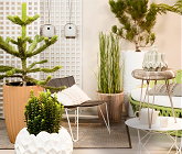 Balkon, Terras & Tuin Ontwerp Sobriety LEES MEER... (Foto ColourYourLife.nl op DroomHome.nl) Balkon, Terras & Tuin Ontwerp Sobriety LEES MEER... (Foto ColourYourLife.nl op DroomHome.nl)