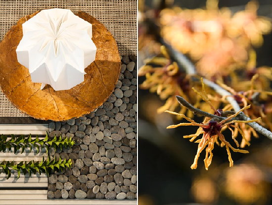 Tuintrend - Tuinontwerp Sobriety - Rustige Tuinaccessoires & Tuinplant Hamamelis x Intermedia Aphrodite LEES MEER... (Foto ColourYourLife.nl op DroomHome.nl)