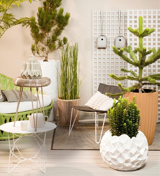 Tuintrend 2012 - Tuinontwerp Sobriety (Foto ColourYourLife.nl op DroomHome.nl) Tuintrend 2012 - Tuinontwerp Sobriety (Foto ColourYourLife.nl op DroomHome.nl)