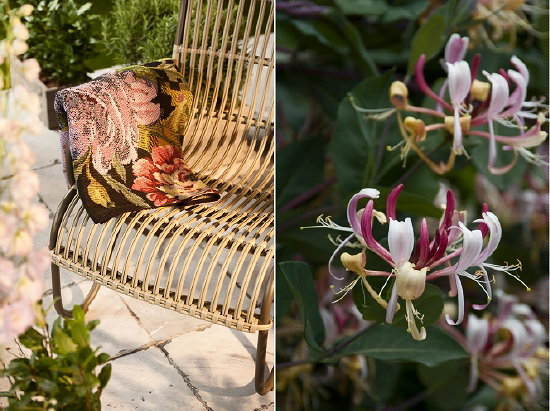 Tuintrend 2012 - Tuinontwerp Warm Embrace - Rotan Stoel met Kelim Plaid & Plant Lonicera Periclymemum Belgica - Picknicken Tips LEES MEER ... (Foto ColourYourLife.nl op DroomHome.nl)