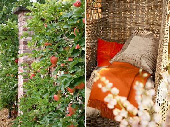 Tuintrend 2012 - Tuinontwerp Warm Embrace - Rotan Stoel & Oranje Kussens en Plant Malus Domestica LEES MEER ... (Foto ColourYourLife.nl op DroomHome.nl)