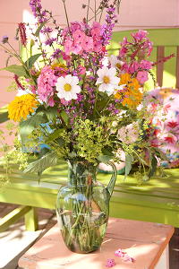 Tuintrends 2011 - Vaste Plant Van het Jaar Zorgt voor Weelderige Bloemen Boeketten LEES MEER... (Foto Plant Publicity Holland op DroomHome.nl) 