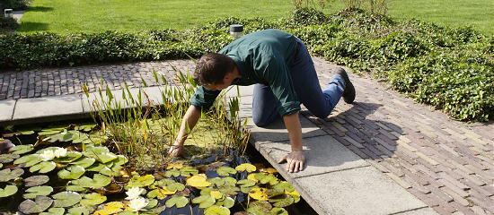 Lente Tuintrends 2011 - Vijver Onderhoud van Water Filter, Vissen en Waterplanten LEES MEER... (Foto Plant Publicity Holland op DroomHome.nl) Lente Tuintrends 2011 - Vijver Onderhoud van Water Filter, Vissen en Waterplanten LEES MEER... (Foto Plant Publicity Holland op DroomHome.nl)