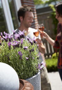 Zomer is Tuin Geluk - Tuinieren -  Sproeien Tegen Uitdroging van de Grond en Hulp van de Hovenier LEES MEER... (Foto Colour Your Life op DroomHome.nl)