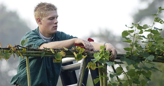 Zomer is Tuin Geluk - Tuinieren - Tuinonderhoud Lijst voor Juni, Juli en Augustus LEES MEER... (Foto Colour Your Life op DroomHome.nl) Zomer is Tuin Geluk - Tuinieren - Tuinonderhoud Lijst voor Juni, Juli en Augustus LEES MEER... (Foto Colour Your Life op DroomHome.nl)