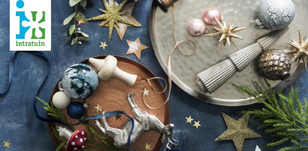 Kerst 2017: Intratuin 5 Kerst Trends 2017 – LEES MEER… (Foto Intratuin op DroomHome.nl) Kerst 2017: Intratuin 5 Kerst Trends 2017 – LEES MEER… (Foto Intratuin op DroomHome.nl)