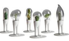 Domsai Design Plantenbakjes met Cactussen (DroomHome.nl) Domsai Design Plantenbakjes met Cactussen (DroomHome.nl)