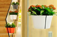 Design Bloempot Twinzz is Magnetische Plantenbak voor op het Glas Raam Binnen & Buiten LEES MEER...(LadyPenelope op DroomHome.nl) Design Bloempot Twinzz is Magnetische Plantenbak voor op het Glas Raam Binnen & Buiten LEES MEER...(LadyPenelope op DroomHome.nl)